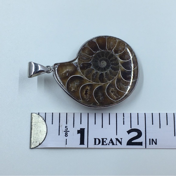 Ammonite Fossil Pendant - Picture 5 of 5